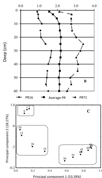 FIGURE 3. Penetration resistance dendrogram grouping (A), Penetration resistance curves (B) and  principal components (C), for different depths