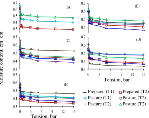 FIGURE 1.  Water retention curve for three surfaces, at 10 cm depth, with 0 passage (A), 1 passage  (B),  3  passages  (C),  6  passages  (D)  and  10  passages  (E),  adjusted  with  the  Van  Genuchten model