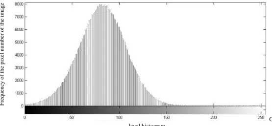 FIGURE 5. Gray level histogram of the image obtained in the plot cultivated under no-tillage