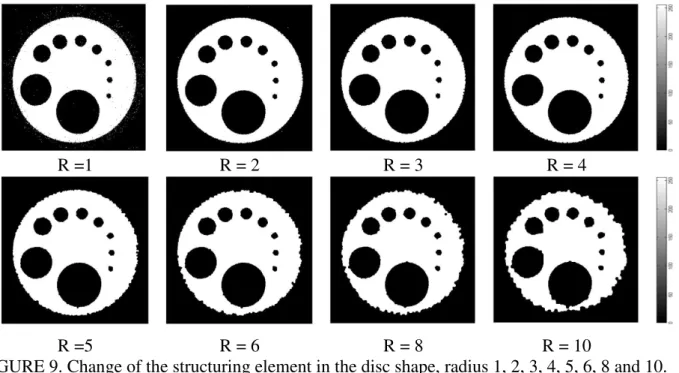FIGURE 9. Change of the structuring element in the disc shape, radius 1, 2, 3, 4, 5, 6, 8 and 10