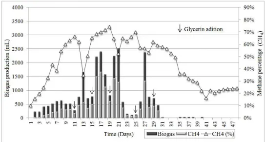 FIGURE 5. Daily biogás production from triplicate supplemented with 6% glycerin. 
