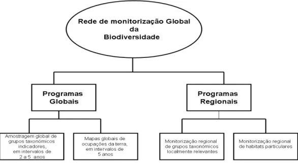 Figura 1.6: Organiza¸c˜ao hier´arquica da rede global de monitoriza¸c˜ao da biodiversi- biodiversi-dade