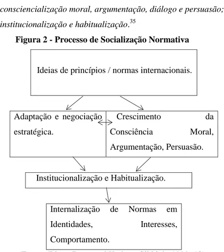 Figura 2 - Processo de Socialização Normativa 