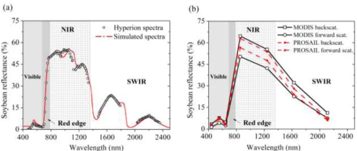 FIGURE 1.  Comparison  of  simulated  PROSAIL  spectra  with  real  spectra  measured  by  a)  Hyperion/EO-1  on  February  8,  2005  (forward  scattering),  and  b)  MODIS/Terra  on  February 5, 2005 (backscattering) and on February 6, 2005 (forward scatt