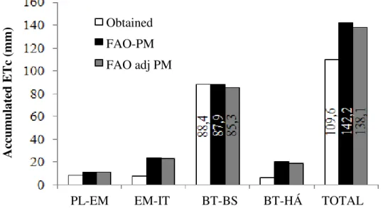 FIGURE 3. Acumulated  evapotranspiration  obtained  in  the  field  and  from  coefficients  recommended by FAO, at different stages of development of potato