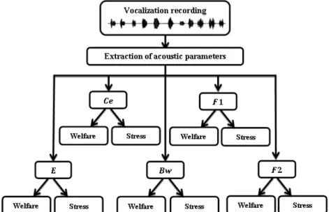 FIGURE 1. Flux diagram of the proposed theoretical model to estimate broiler welfare condition