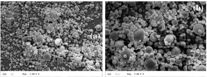 FIGURE  3.  Micrographs  (SEM)  of  pequi  pulp  microencapsulated  with  modified  starch,  obtained 