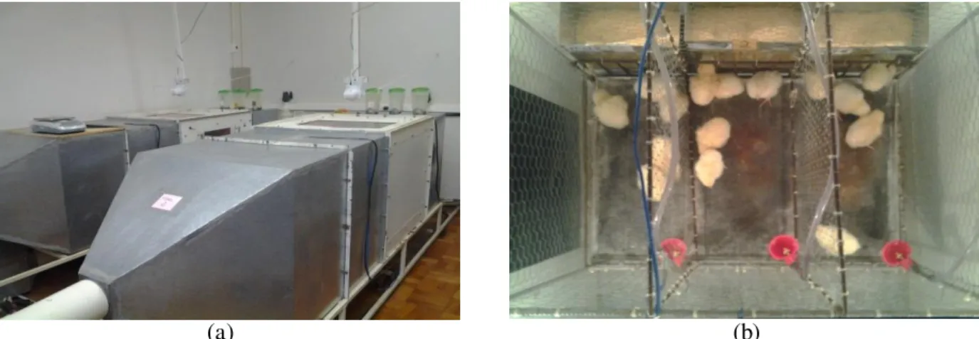 FIGURE 1.   a) Air-conditioned wind  tunnels. b) Top  view of  the cages  housing the broilers  inside  the air-conditioned wind tunnels