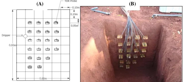 FIGURE 1. (A) Scheme of the experimental setup for probes and dripper; (B) Field assembly  