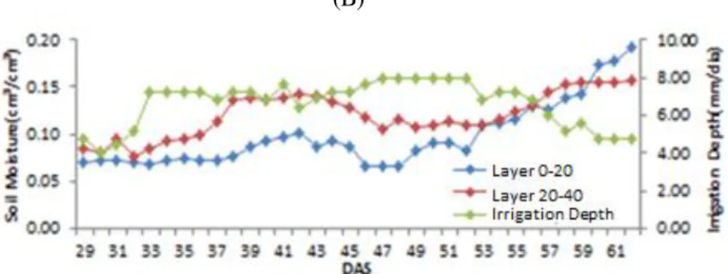 FIGURE  12.  Behaviour  of  soil  moisture  at  0-20  cm  and  20-40  cm  for  areas  managed  using  the  volumetric  water  balance  (A)  and  an  artificial  neural  network  (B),  in  response  to  irrigation at 07:00
