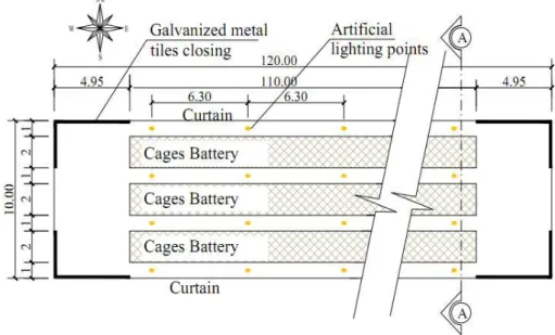 FIGURE 1. Aviary schematic drawing (no defined scale). Dimension units: m. 