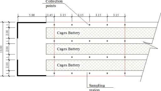 FIGURE 4. Schematic design of the aviary showing in detail the measurement points of illuminance (no  defined scale)