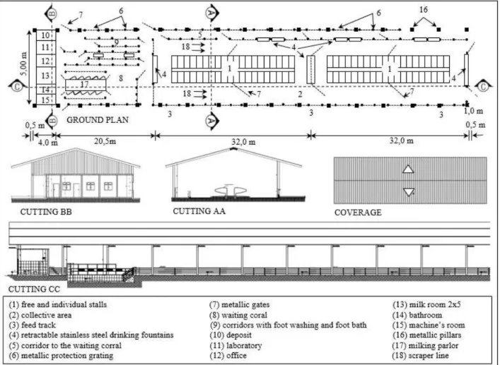 FIGURE 1.  Free-stall reference project sketch for the capacity of 80 animals.  
