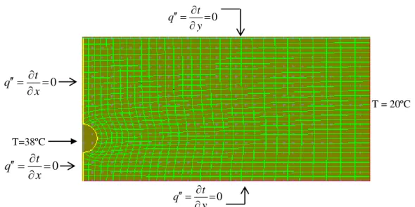 FIGURE  3.  Geometry  for  representation  of  the  convective  flow  of  heated  air  inside  the  broiler  house