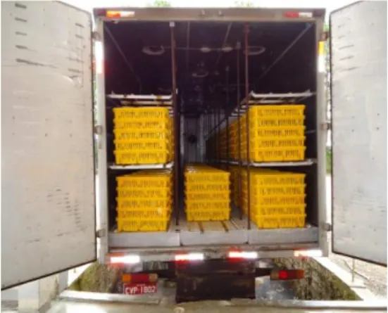 FIGURE 1. Container truck and view of a day-old chick box. 