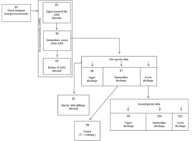 FIGURE 1. Processing phases and the points where seed samples were taken (T1, T2, T3, T4, T5,  T6, T7, T8, T9, T10 e T11)