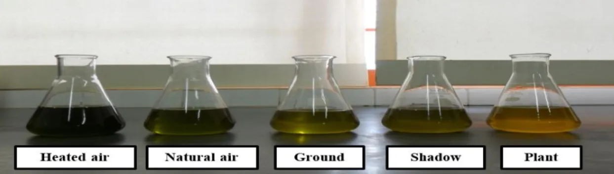 FIGURE 2. Colors of crude oil extracted from crambe grains in each drying method. 