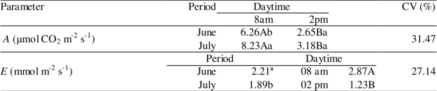 TABLE  1.  Photosynthetic  rates  (A,  µmol  m 2   s -1   of  CO 2 )  and  transpiration  rates  (E,  mmol  m -2   s -1 )  measured  in  'Tommy  Atkins'  mangoes  at  different  periods  and  daytimes  in  the  flowering  stage