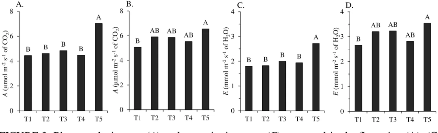 FIGURE 3. Photosynthetic rates (A)  and transpiration  rates (E)  measured  in the  flowering  (A), (C)  and  fruiting  (B)  stages,  (D)  in  'Tommy  Atkins'  mangoes  under  different  irrigatio n  reduction  levels  based  on  evapotranspiration  of  cu