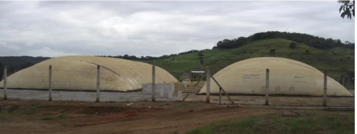 FIGURE 1. External view of the two digesters  installed in farm “A” . 