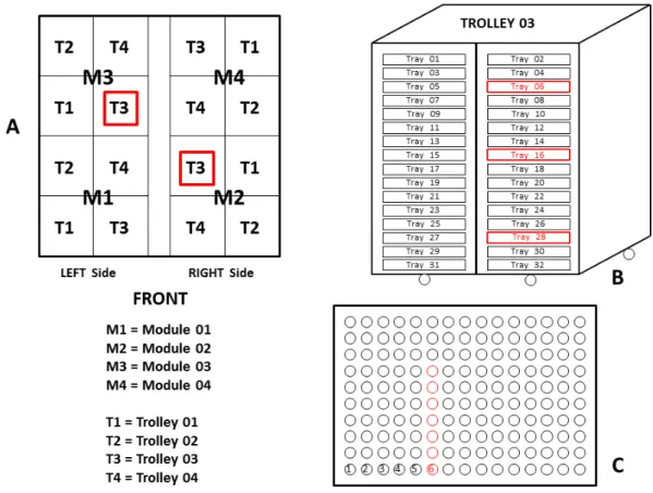 FIGURE 1. The positions of the modules, trolleys, trays, and eggs in the incubation trays, showing  the  locations  where  the  temperatures  were  evaluated  in  the  eggshells,  trays  were  identified,  and  samples  were  collected;  A:  Upper  overvie