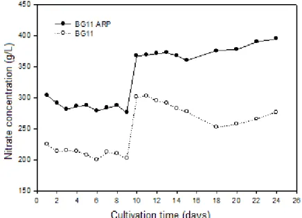 FIGURE 5. Nitrate concentration during cultivation of Scenedesmus obliquus BR003 in BG11 medium