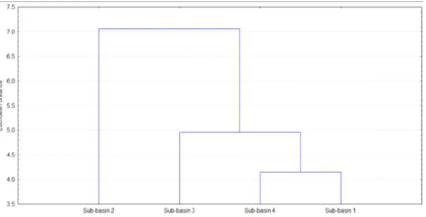 FIGURE  3.  Dendrogram  showing  the  similarity  of  monitoring  points  for  water  quality  in  the  Ipê  stream sub-basins, Ilha Solteira, SP