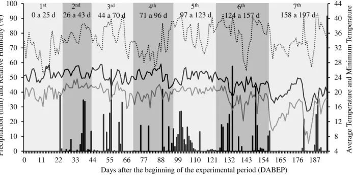 FIGURE 1. Precipitation (mm), average temperature (° C), minimum temperature (° C) and relative  humidity values on November 7 th , 2012 to May 20 th , 2013