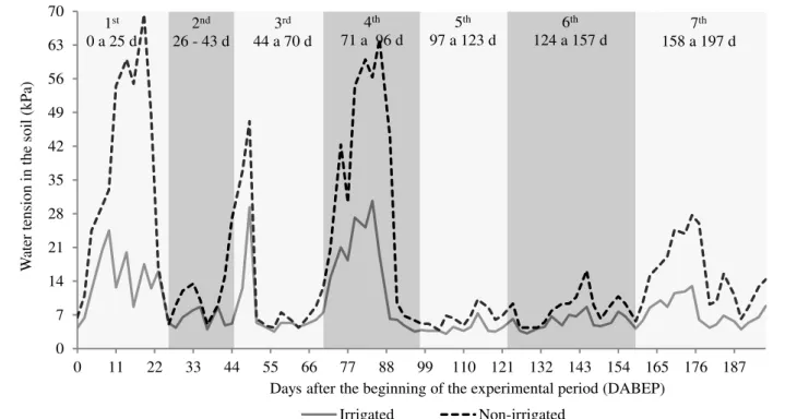 FIGURE 2. Water tension in the soil values for the Tifton 85 overseeding with oats, with and Non- Non-irrigated