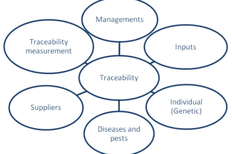 FIGURE 1. Description of elements from a traceability program. Adapted from Opara (2003)