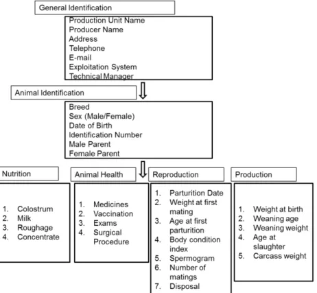 FIGURE 3. Information diagram for goat and sheep meat traceability.  