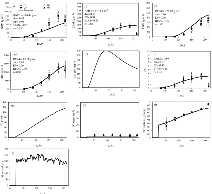 FIGURE 4. Evaluation of the parameters and processes for cassava cultivar São José simulated with  Simanihot,  with  independent  data  in  the  2013-2014  growing  season  in  a  commercial  farm in  Vera Cruz, RS