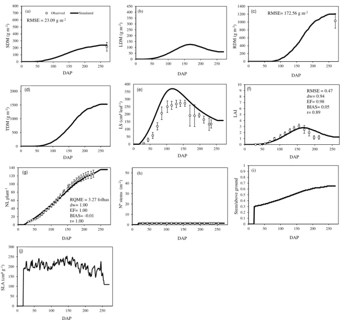FIGURE 3. Evaluation  of the parameters and processes for cassava cultivar Estrangeira simulated  with  Simanihot,  with  independent  data  in  the  2011-2012  growing  season  in  Santa  Maria,  RS