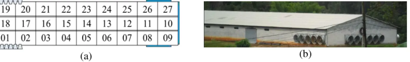 FIGURE  1.  Layout  of  the  environmental  data  sampling  points  (a)  and  studied  broiler  house  photograph (b)