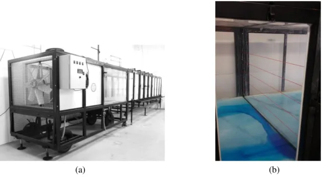 FIGURE 1. Wind tunnel used in the tests (a); Distribution of nylon thread in the wind tunnel (b)