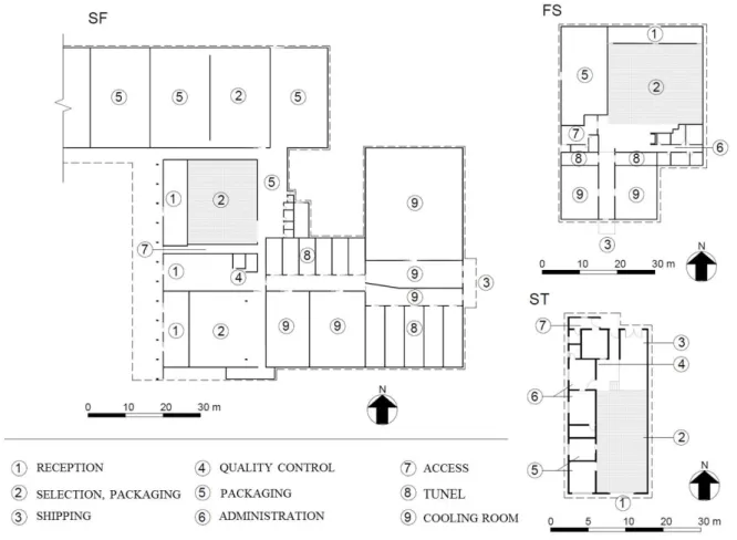 FIGURE 1. Compartmentalization of evaluated ST, FS and SF packing houses plants. Sector 2, in  gray, represents the monitored environment