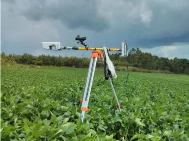 FIGURE 1. GreenSeeker sensor mounted on soybean in R1 stage  
