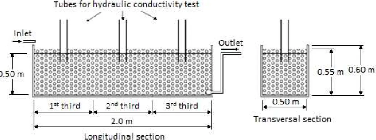 FIGURE  1.  Scheme  of  longitudinal  and  transversal  sections  of  HSSF – CW  with  their  respective  dimensions