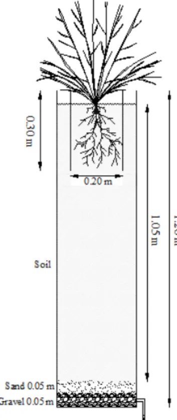 FIGURE 1. Schematic configuration of the soil column profile used in the experiment. 