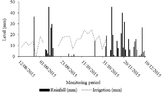 FIGURE 3. Distribution of rainfall and irrigation level that occurred during the experiment