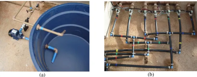 FIGURE  1.  Motor-pump  hydraulic  fitting  (a)  and  check  and  solenoid  valves  installed  at  the  beginning of the irrigation line (b)