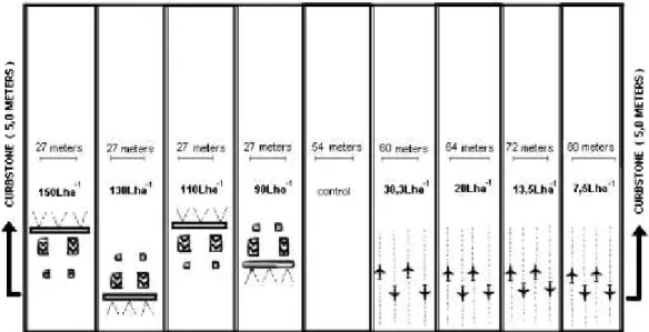 FIGURE 1. Sketch of the experimental area in two years of treatment (2013 and 2014). 