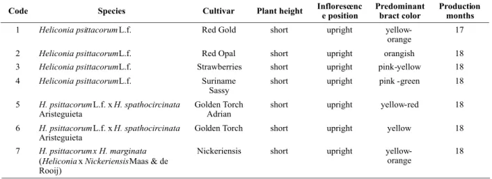 Table 1.  Description of Heliconia psittacorum cultivars and interspecific hybrids of the Heliconia genebank