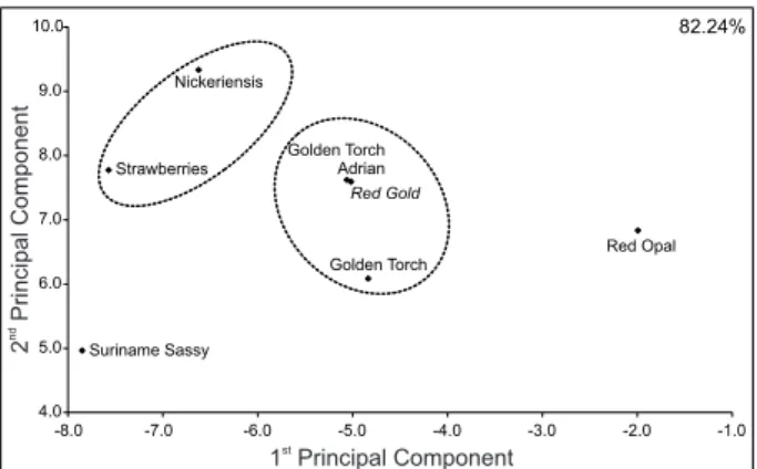 Figure 1. Dispersion diagram of the principal component analysis based on traits of Heliconia psittacorum cultivars and interspecific hybrids.