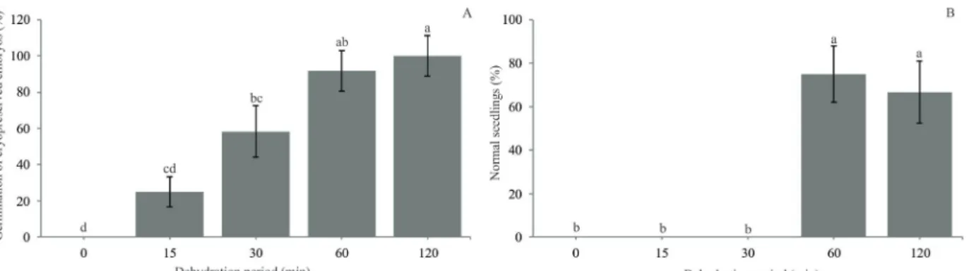 Figure 2: Cryopreservation of Coffea arabica L. cv. Catuaí Vermelho zygotic embryos after dehydration in silica gel  for different times and maintained in liquid nitrogen (-196 °C) for 24 hours