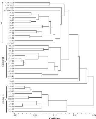 Table 2. The Nei gene diversity measure, Shannon´s information index and percent polymorphic bands (P %) obtained using AFLP, RAPD and SSR molecular markers for “Híbrido de Timor” coffee accessions