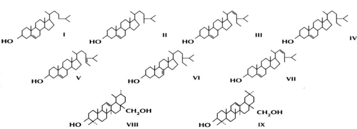 Figura  1   –  Esteróis  e  dióis  triterpénicos  presentes  no  azeite  virgem  referidos  no  Regulamento  (CEE)  Nº  2568  para  controlo  de  autenticidade  (I  –  Colesterol;  II  –  Campesterol;  III  –  Estigmasterol;  IV  –   -sitosterol;  V  –   5