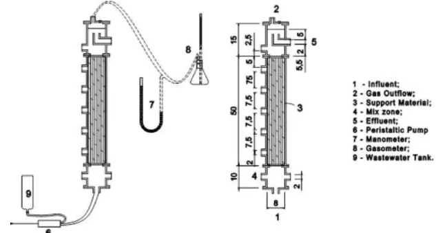 Figure 1 shows the constructive characteristics of the reactor.  Three  support materials  were  evaluated in hydrogen production: i) recycled-low polyethylene scraps with particle size of ¾”; ii)  recycled-low  polyethylene  cylinders  with  3.0  cm  of  