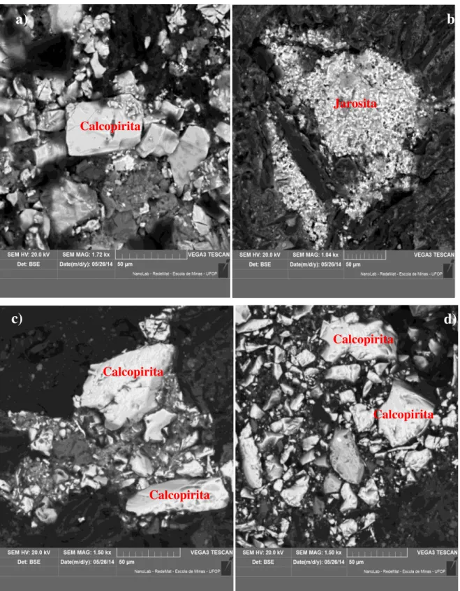 Figura 6.10 – Imagem obtida por microscopia eletrônica de varredura (MEV): a) amostra inicial de calcopirita; 