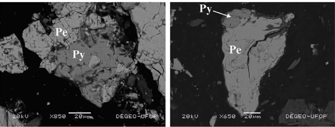 Fig. 1. Scanning electron microscope images of the sulphides present on the nickel concentrate showing association between pentlandite and pyrrhotite.